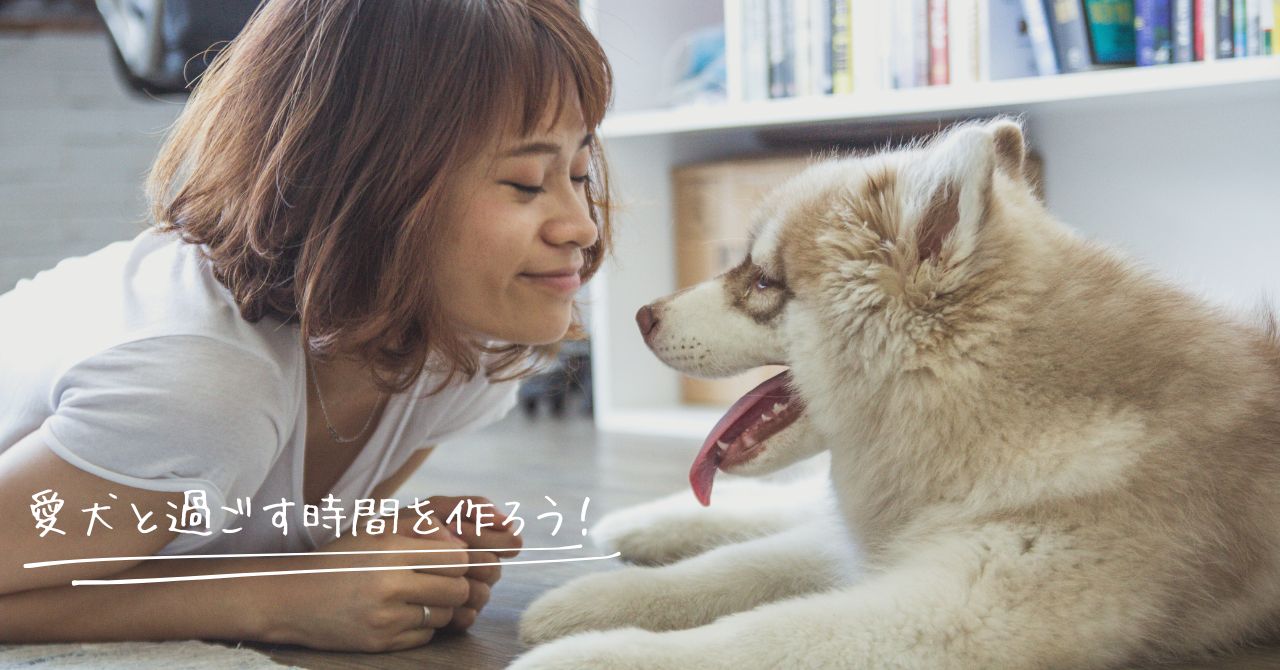犬との暮らしの中でできる時間を生み出す「賢い節約術」4選!
