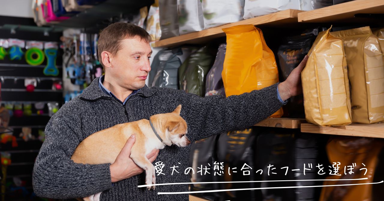 愛犬に合ったダイエットフードを選ぶ飼い主