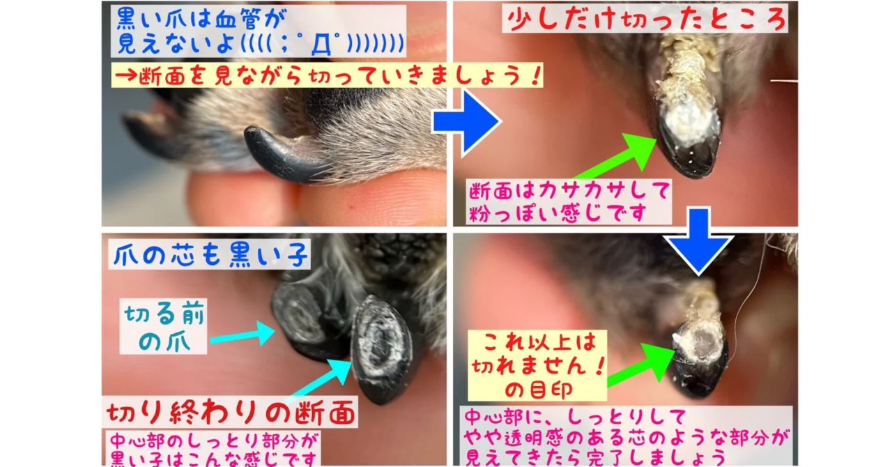 黒い爪の切り方