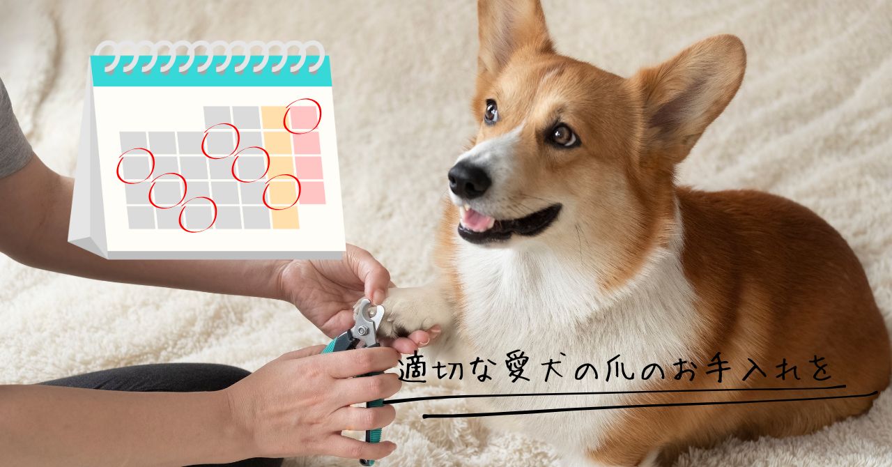 伸びてしまった血管(クイック)を安全に後退させる方法