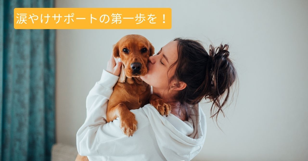 まとめ:「このこのごはん」で涙やけのサポートは可能