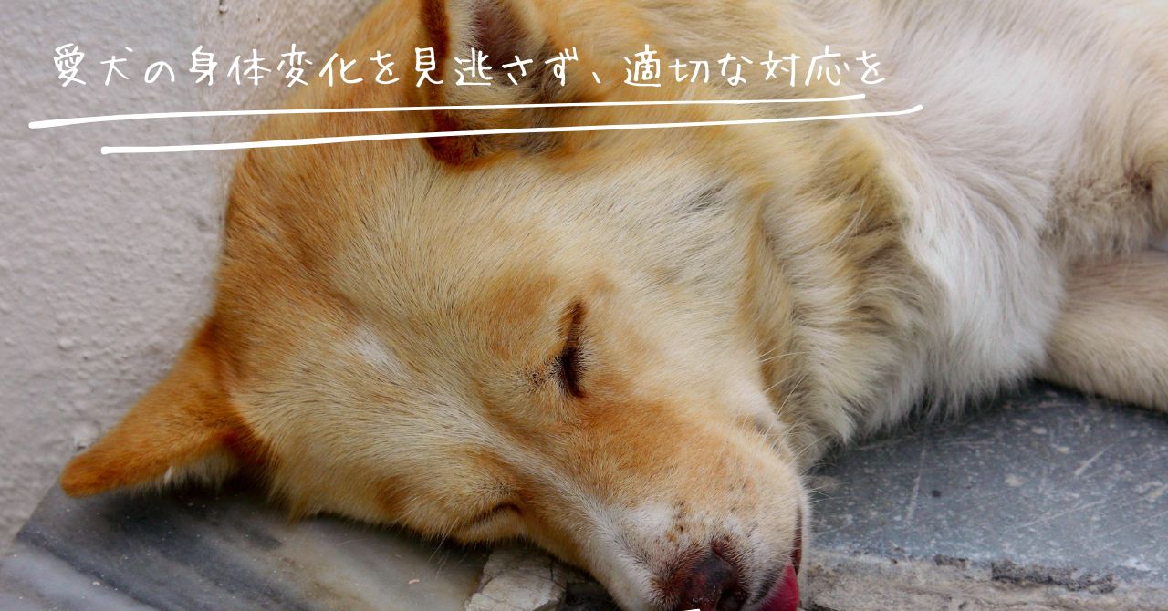 愛犬のサインを見逃さず、適切な対策を