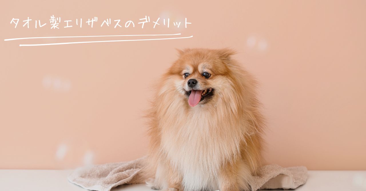 タオル製エリザベスカラーを解いてしまった犬