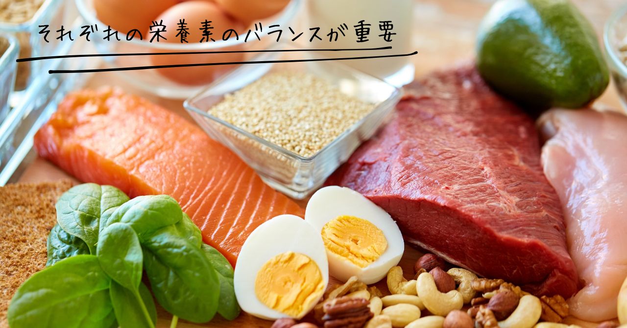 毛量を増やすために重要な栄養素を配合した食材