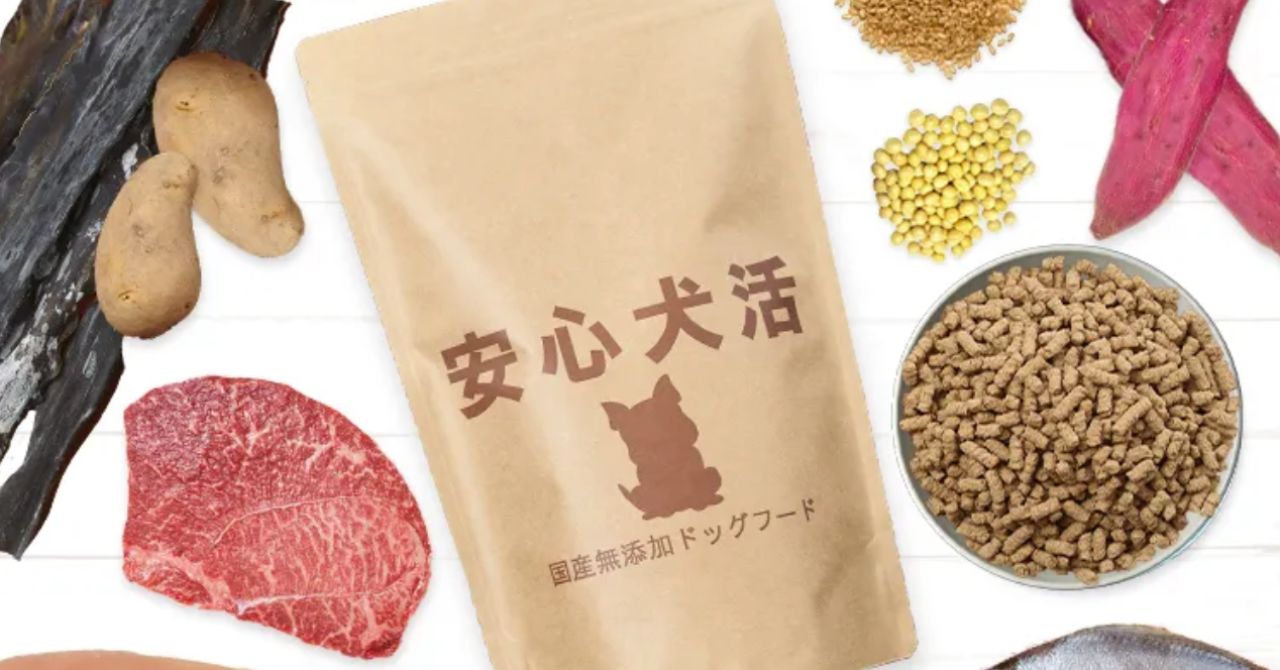安心犬活