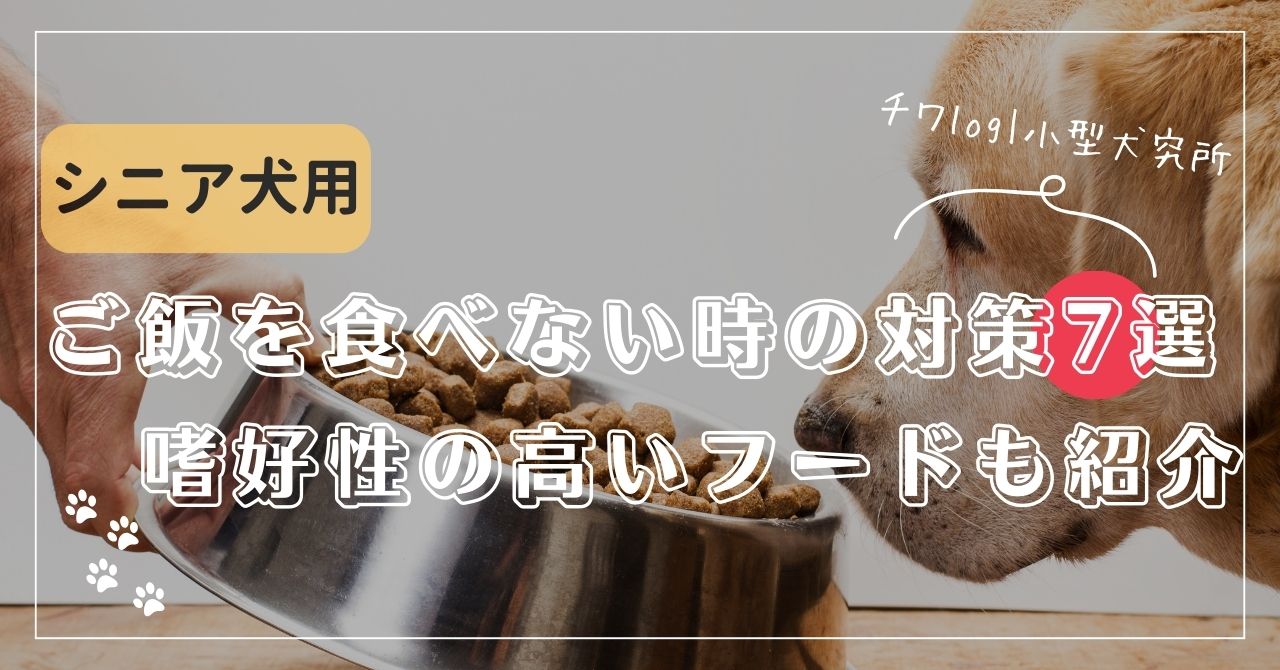 【要注意】老犬がご飯食べない…でもおやつは食べる！試して欲しい7つの対策