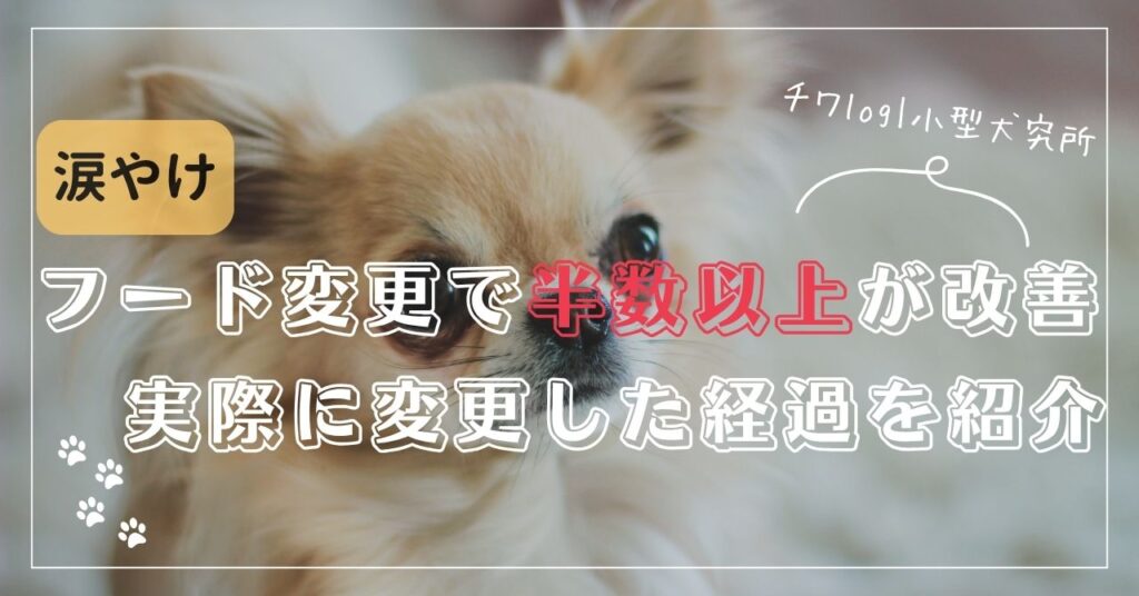 【悲痛】シュプレモで涙やけがひどい！愛犬が試して改善したフードを紹介