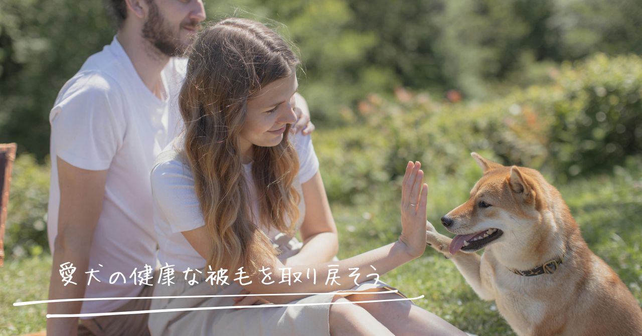 フサフサな毛並みになった犬と笑顔の飼い主