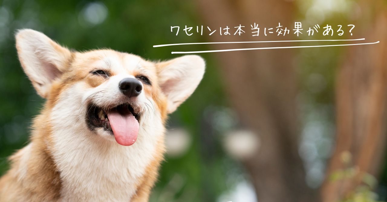 ワセリンの効果は?